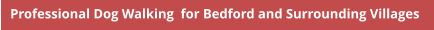 Professional Dog Walking  for Bedford and Surrounding Villages