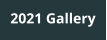 2021 Gallery