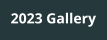 2023 Gallery